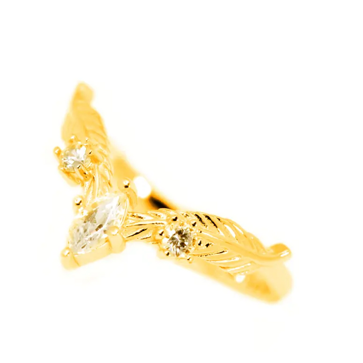 Ring of Resurrection - 1